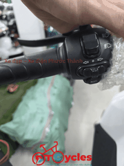Xe điện Pega Cap AZ màu Trắng