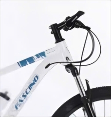 Xe đạp địa hình FASCINO 329 màu Trắng-Xanh