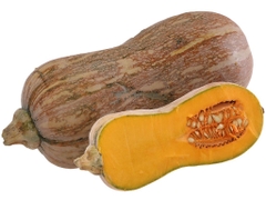 Bí đỏ hữu cơ ĐL - TPT