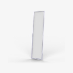 Đèn LED Panel P08 300x1200 50W