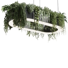 Đèn Thả Hình Oval trồng cây xanh
