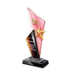KỶ NIỆM CHƯƠNG PHA LÊ 5