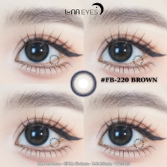FB220 BROWN 14.2mm