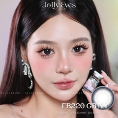 FB220 GRAY 14.2mm