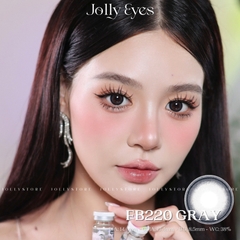 FB220 GRAY 14.2mm