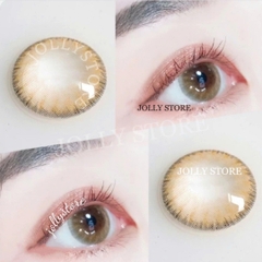 253(271)BROWN 14.2mm