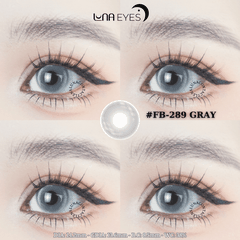FB289 GRAY 14.2mm