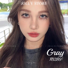 FB289 GRAY 14.2mm