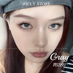 FB289 GRAY 14.2mm