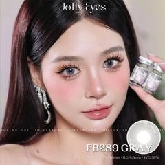 FB289 GRAY 14.2mm