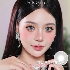 FB289 GRAY 14.2mm