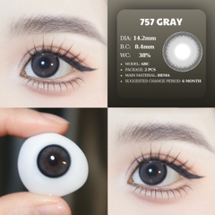 PP 757 GRAY
