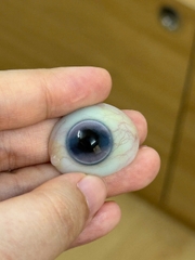 FD465 BLUE 14.5mm