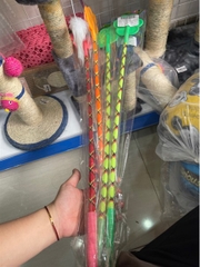 Gậy tét đít dài