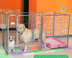 Quây chó loại to