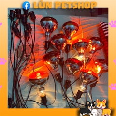 BÓNG ĐÈN HỒNG NGOẠI SƯỞI CHO MÈO
