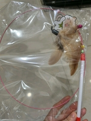 Cần câu mèo Fine