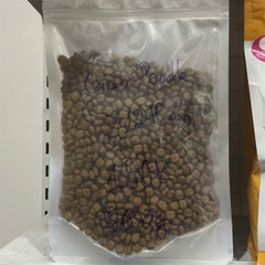Royal Canin Poodle Adult - 500g chiết