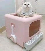 Nhà vệ sinh vuông hai cửa chống văng cát