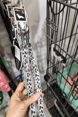 Dây dẫn Doggyman 15mm size 10kg
