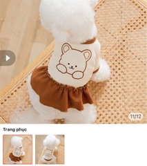 Áo thun hình gấu