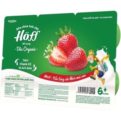 Sữa chua trái cây vị dâu tây Organic Hoff