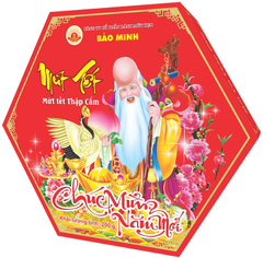 Mứt tết thập cẩm Bảo Minh 200g
