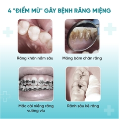 Bàn Chải Đánh Răng Chuyên Dụng Cho Người Niềng Răng Daily Smile Sợi PBT Đức Cao Cấp