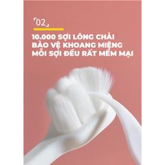 Bàn chải sư tử dễ thương màu Cam (1 chiếc)