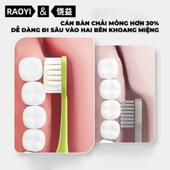 Bộ hai bàn chải Royalead màu hồng và màu xanh lá cây
