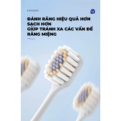 Bộ hai bàn chải Royalead màu hồng và màu xanh lá cây