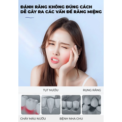 Bộ hai bàn chải Royalead Màu cam và xám
