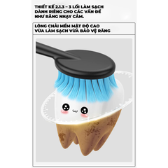 Bàn chải Royalead chuôi lỗ màu xanh da trời