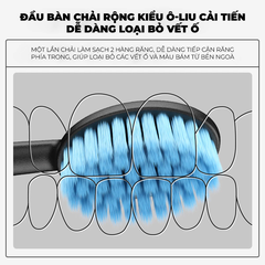 Bàn chải Royalead chuôi lỗ màu Be
