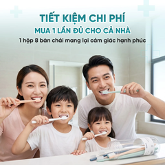 Hộp 8 màu Morandi bàn chải trơn góc cạnh