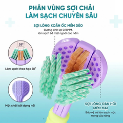 Bàn chải đầu tách 3 màu xanh da trời