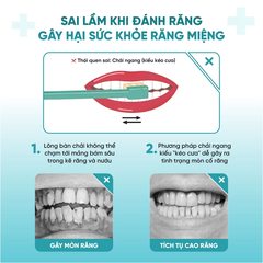 Bộ 2 bàn chải có giác hút màu hồng và xanh lá cây