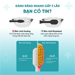 Bàn chải đánh răng người lớn màu xanh lá cây với 100 lỗ