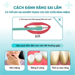 Bàn chải có giác hút màu xanh lá