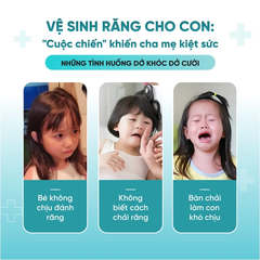 Hộp 6 bàn chải đầu vuông màu sắc