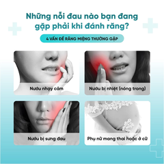 Bàn chải dây xoắn cao cấp, hộp đựng có giác hút kép - Vàng