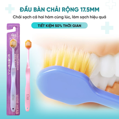 Bàn chải dây xoắn cao cấp, hộp đựng có giác hút kép - Cam