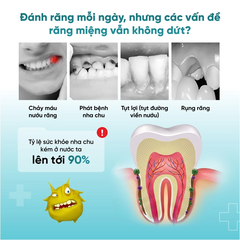 Bàn chải Tiss tay cầm mờ Màu hỗn hợp