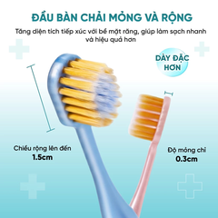 Bàn chải Tiss tay cầm mờ Màu hỗn hợp