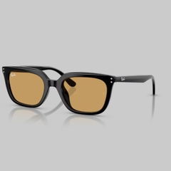 RAYBAN 0RB4439D
