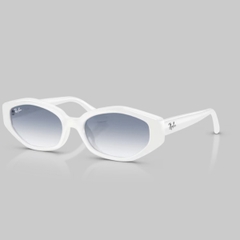 RAYBAN X JENNIE 0RB4473D