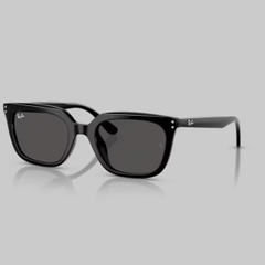 RAYBAN 0RB4439D