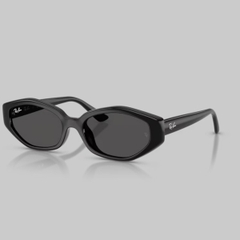 RAYBAN X JENNIE 0RB4473D