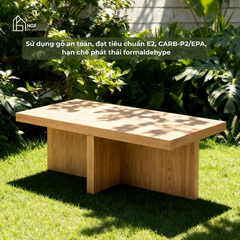Bàn trà phòng khách RITA HGF hiện đại, gỗ MDF, 100x50x40cm, BT001