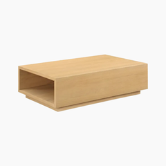 Bàn trà phòng khách DANA HGF 1 hộc kéo, gỗ MDF, 100x50x40cm, BT002